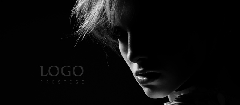 logo prestige gris photo mannequin logo luxe