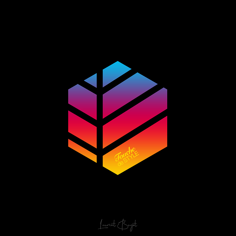 logo touche de style feuille